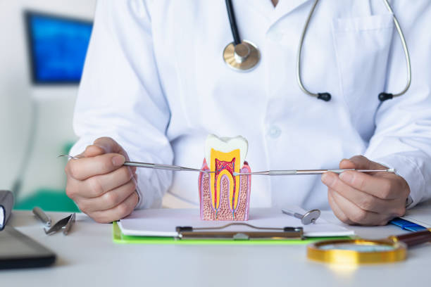 Urgent Tooth Repair in UT
